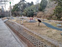 -青岛德国总督楼旧址博物馆