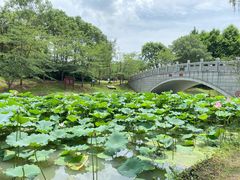-自然谷恐龙园
