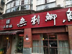 -小杨妹无刺鲫鱼(都市花园店)