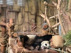 -泉州海丝野生动物世界