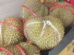 -百果园PAGODA(和泓四季店)