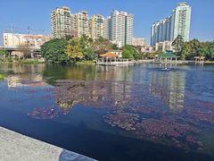 -荔湾湖公园