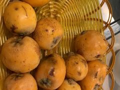 -蘑统田下·野生菌火锅