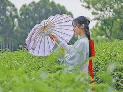 -美的鹭湖森林度假区
