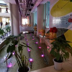 -沈阳市妇婴医院