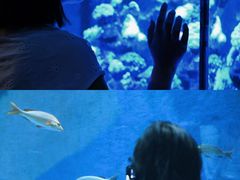 -合肥海洋世界