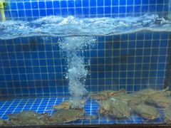 -碧海银沙海鲜餐厅(恒大海上威尼斯店)