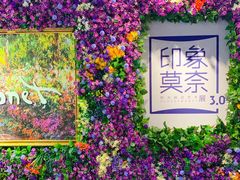 -印象莫奈时光映迹艺术展