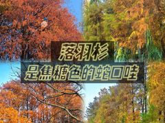 -四海公园(南山区)