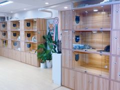 -猫十亿·布偶金渐层·曼基康矮脚猫舍(青年路店)