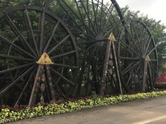 -北京呀路古热带植物园