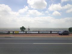 -合肥滨湖国家森林公园