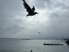 -星海广场