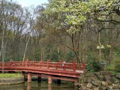-紫霞湖公园