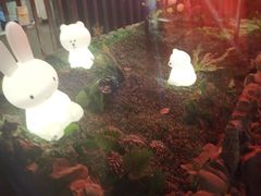 -夜宴江景餐厅