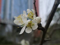-西南政法大学(渝北校区)