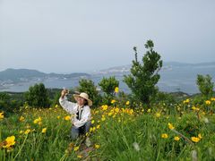 -枸杞岛