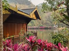 -西双版纳原始森林公园