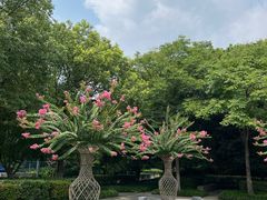 -杭州城北体育公园