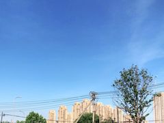 -前关湿地公园