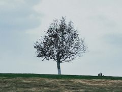 -钟山体育运动公园