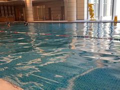 -海豚之星游泳俱乐部(喜来登馆)