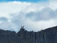 -兔儿山