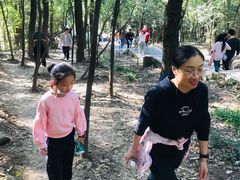 -紫金山山顶公园