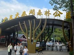 -天鹿湖森林公园