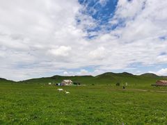 -乌兰布统草原