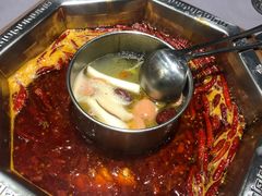 -蜀九香火锅(九眼桥店)