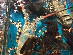 -清水湾3号(东方小周海鲜店)