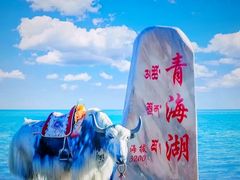 -青海湖仙女湾景区