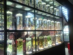 -广东中医药博物馆