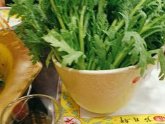 -芦月轩羊蝎子(北蜂窝店)