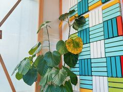 -Green Option(官舍店)