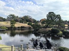 -水前寺成趣园