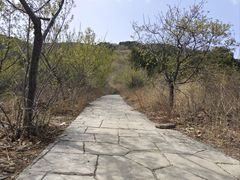 -北京西山国家森林公园