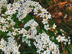 -苏州河梦清园环保主题公园