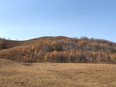 -塞罕坝国家级自然保护区