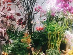 -艾比嘉尔轻奢花店·气球派对(长宁店)