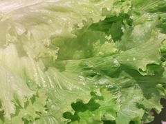 -新石器烤肉(招商1872店)