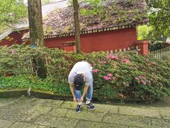 -南山植物园