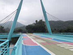 -东南花都花博园