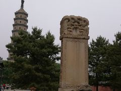 -老三羊汤【北兴隆街店】