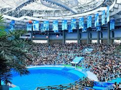 -海合安成都极地海洋公园