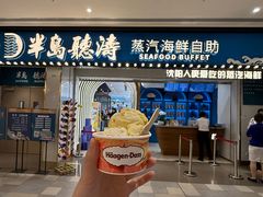 -半岛听涛蒸汽海鲜自助(K11店)