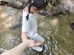 -白水寺森林公园