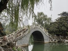 -西苑公园