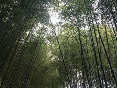 -竹泉村旅游度假区